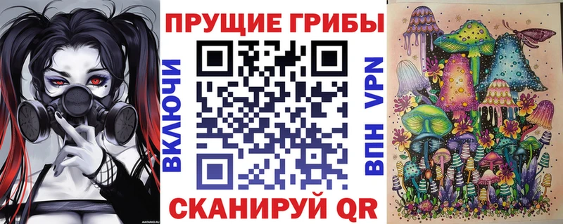 Галлюциногенные грибы Psilocybine cubensis Таганрог