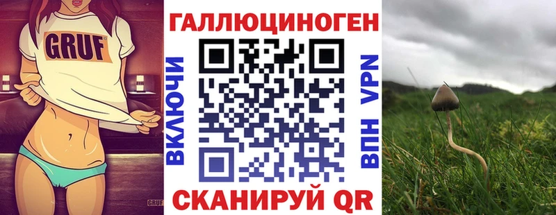 shop наркотические препараты Таганрог Галлюциногенные грибы мицелий